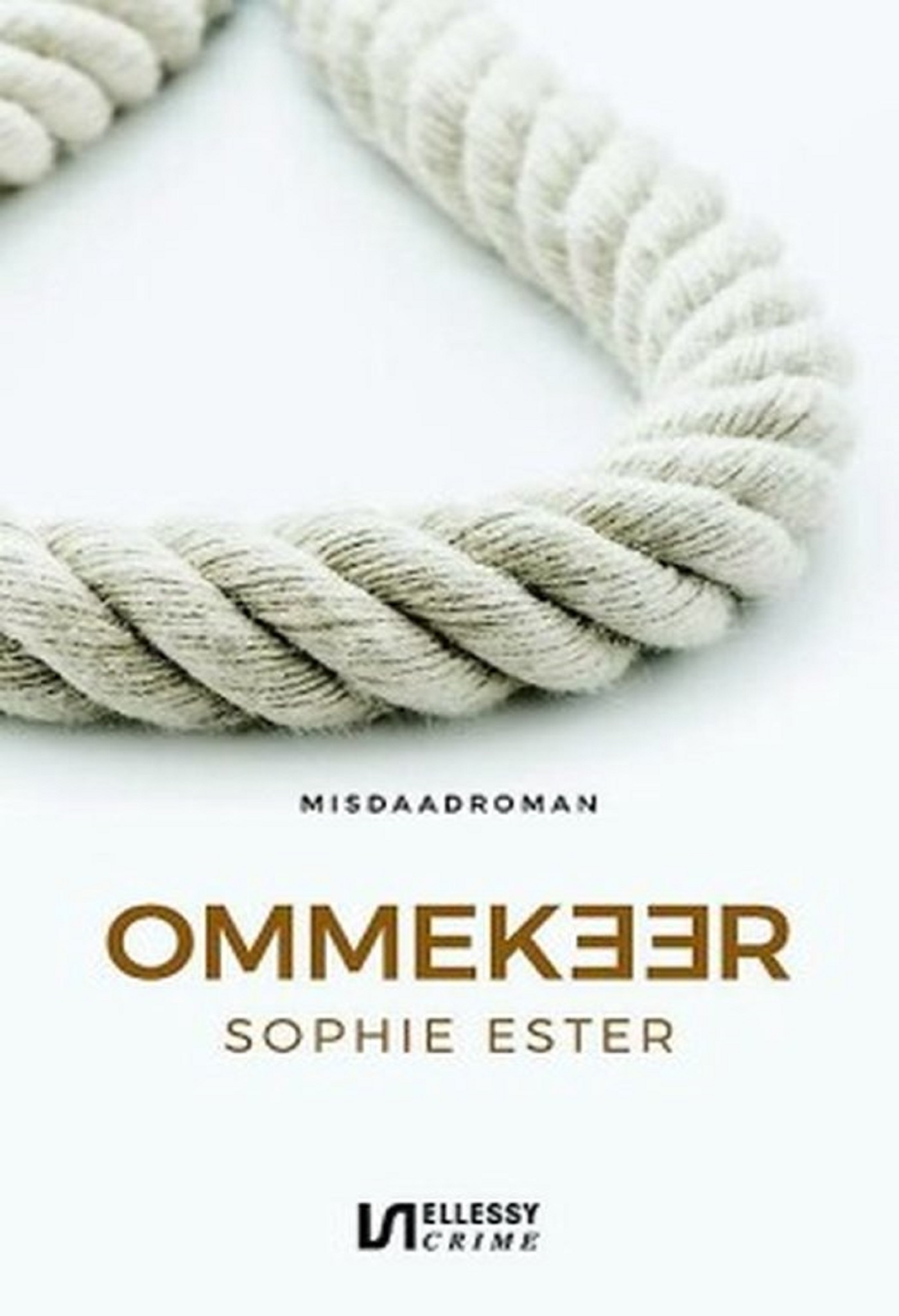 Omslag van Ommekeer
