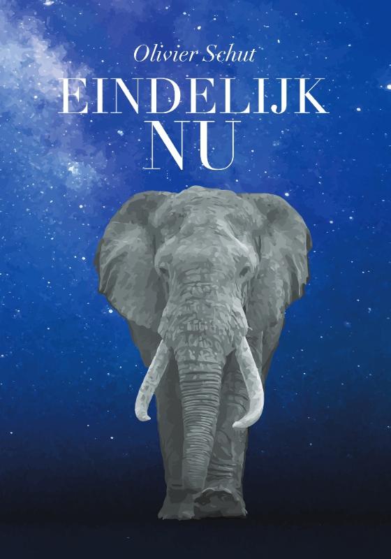 Omslag van Eindelijk Nu