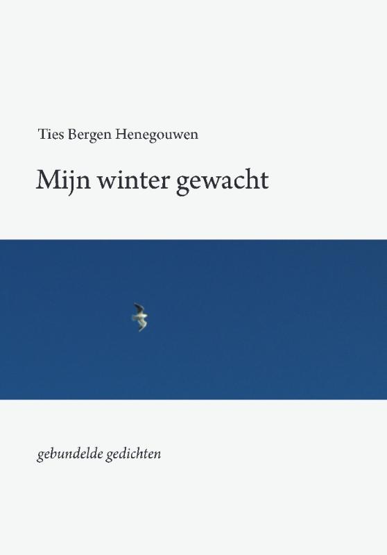 Omslag van Mijn winter gewacht