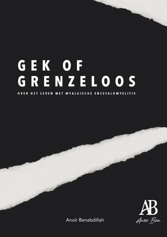 Omslag van Gek of Grenzeloos