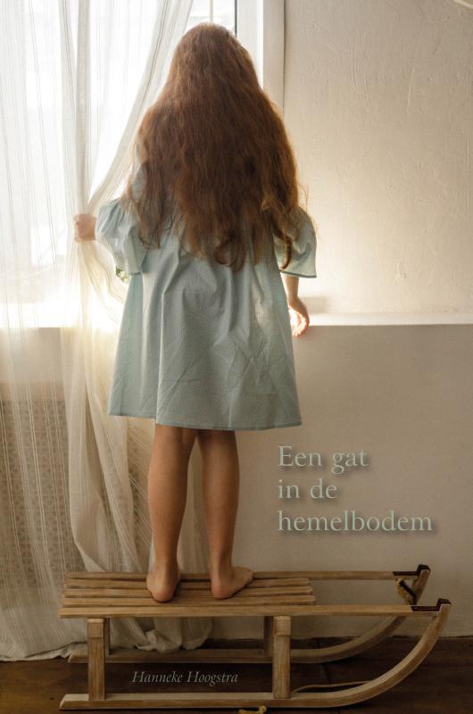 Omslag van Een gat in de hemelbodem