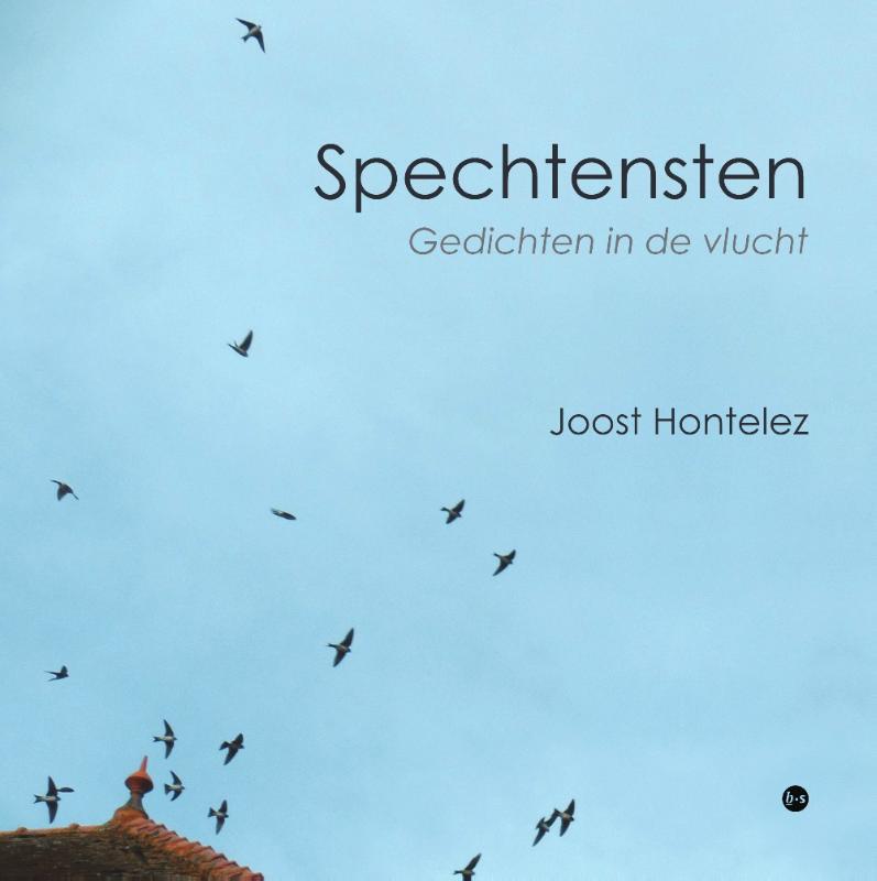Omslag van Spechtensten