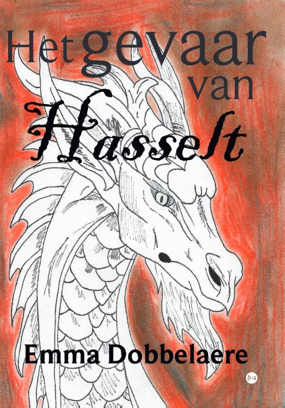 Omslag van Het gevaar van Hasselt