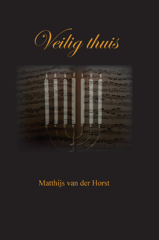 Omslag van Veilig thuis