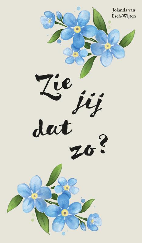 Omslag van Zie jij dat zo?