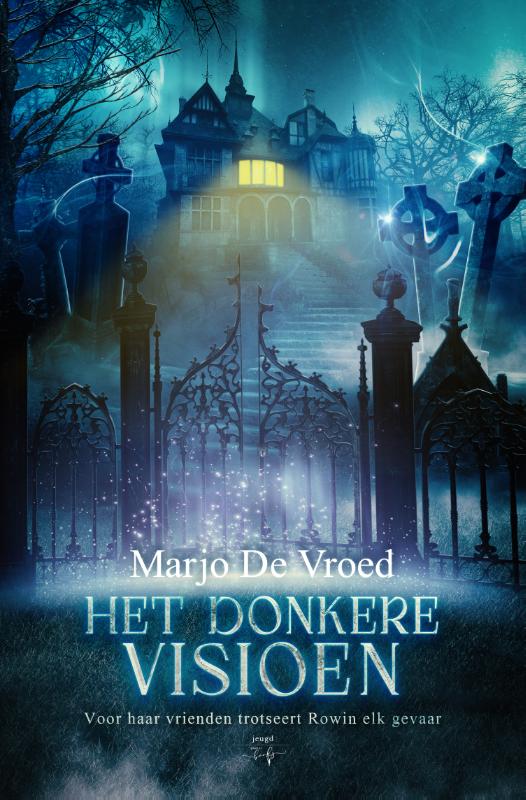 Omslag van Het donkere visioen