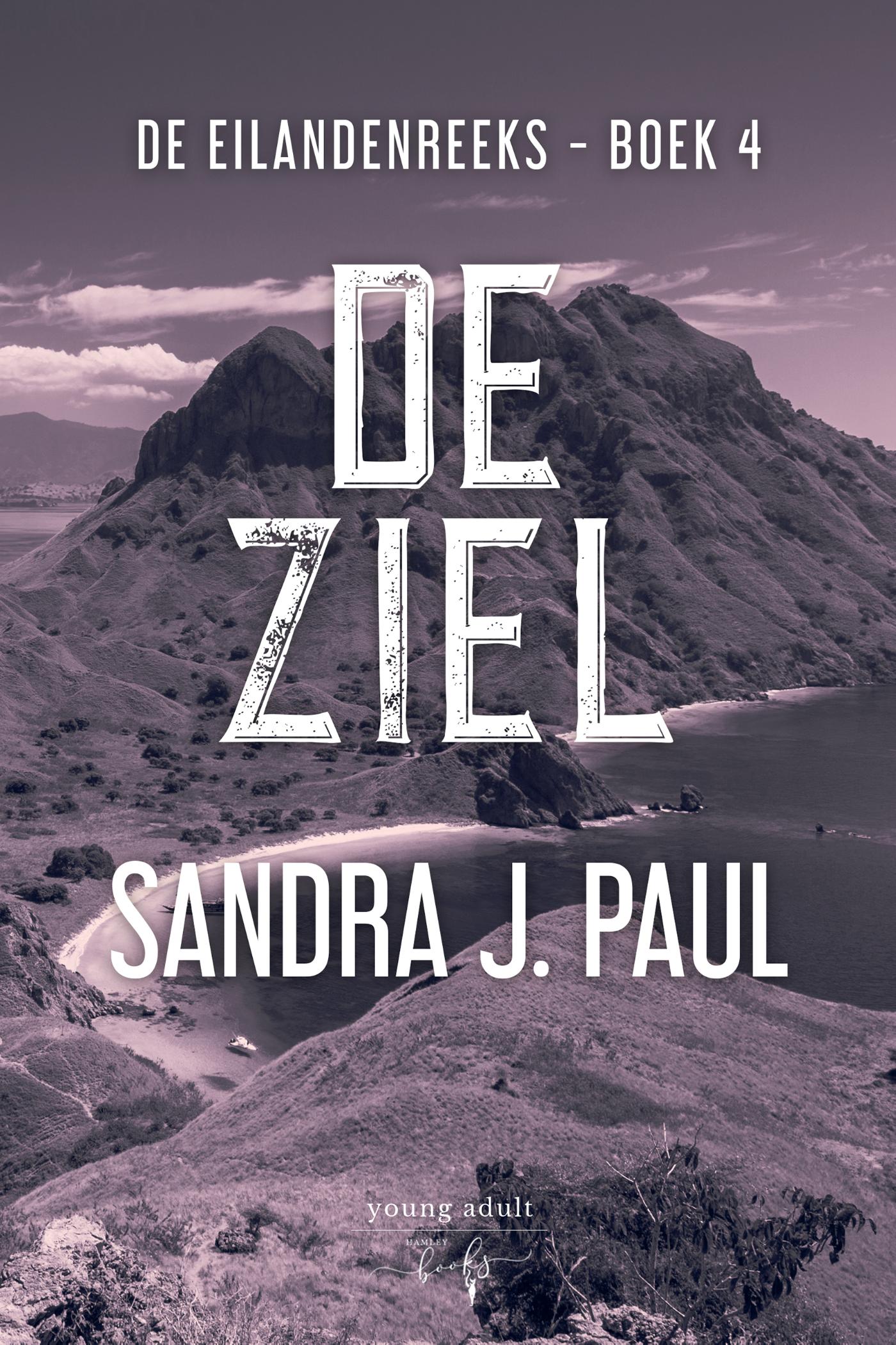 Omslag van De Ziel