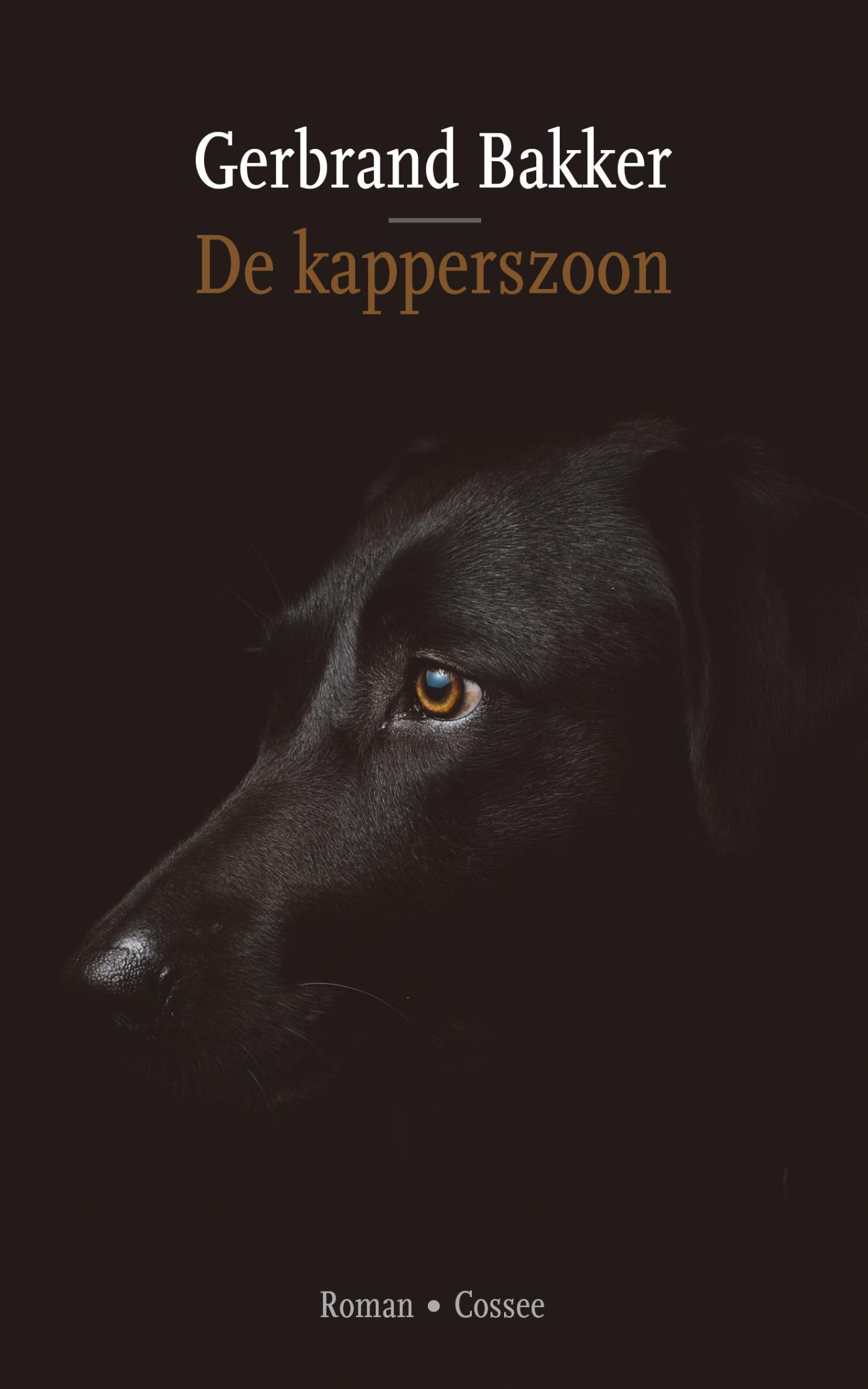 Omslag van De kapperszoon