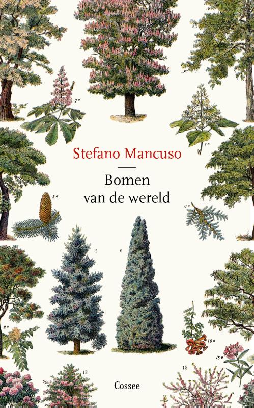 Omslag van Bomen van de wereld