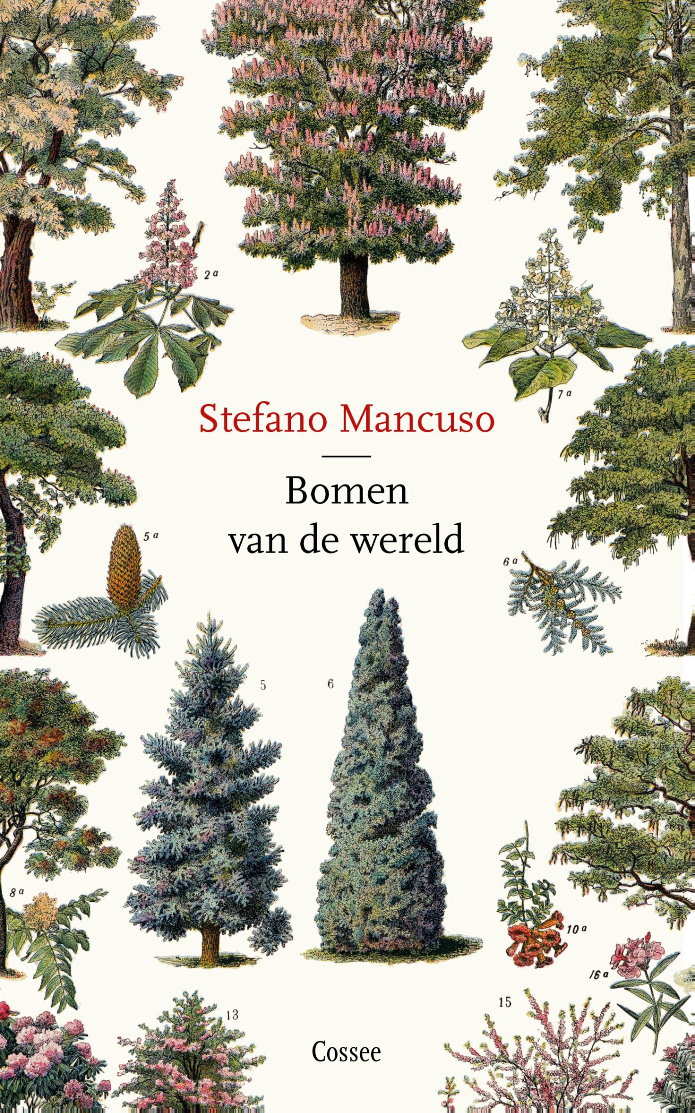 Omslag van Bomen van de wereld