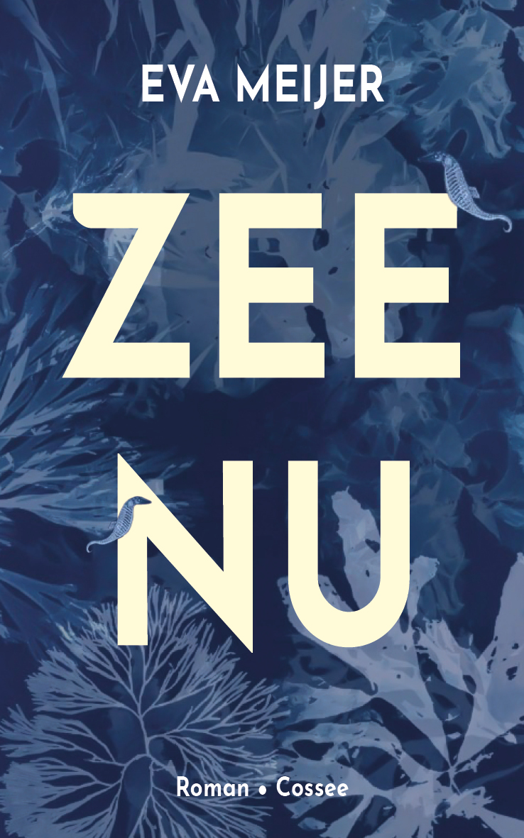 Omslag van Zee Nu