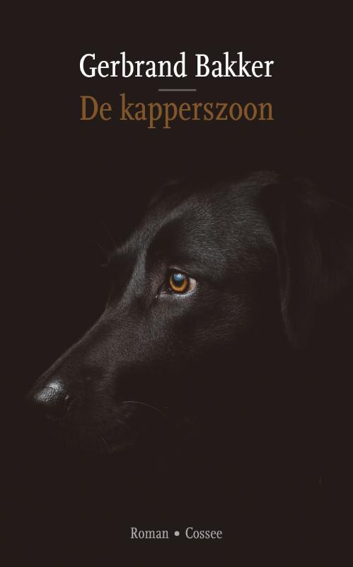 Omslag van De kapperszoon