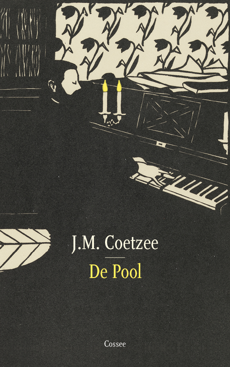 Omslag van De Pool