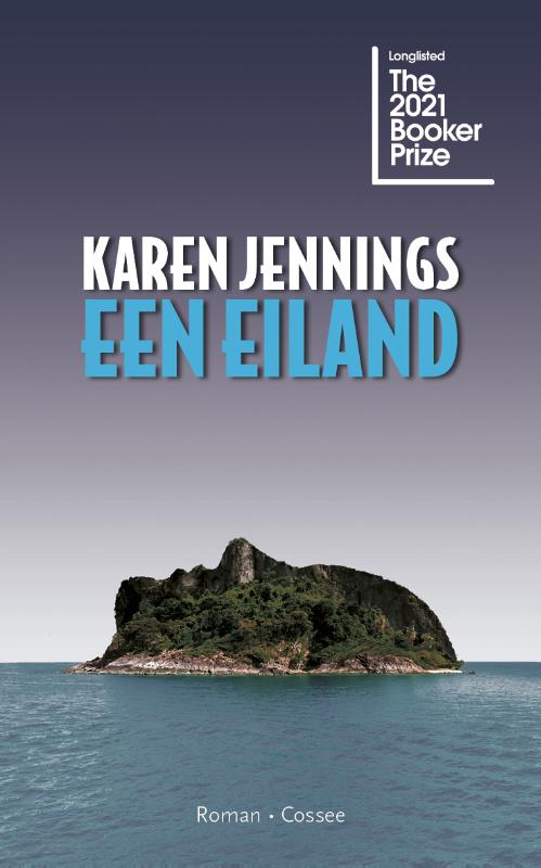 Omslag van Een eiland