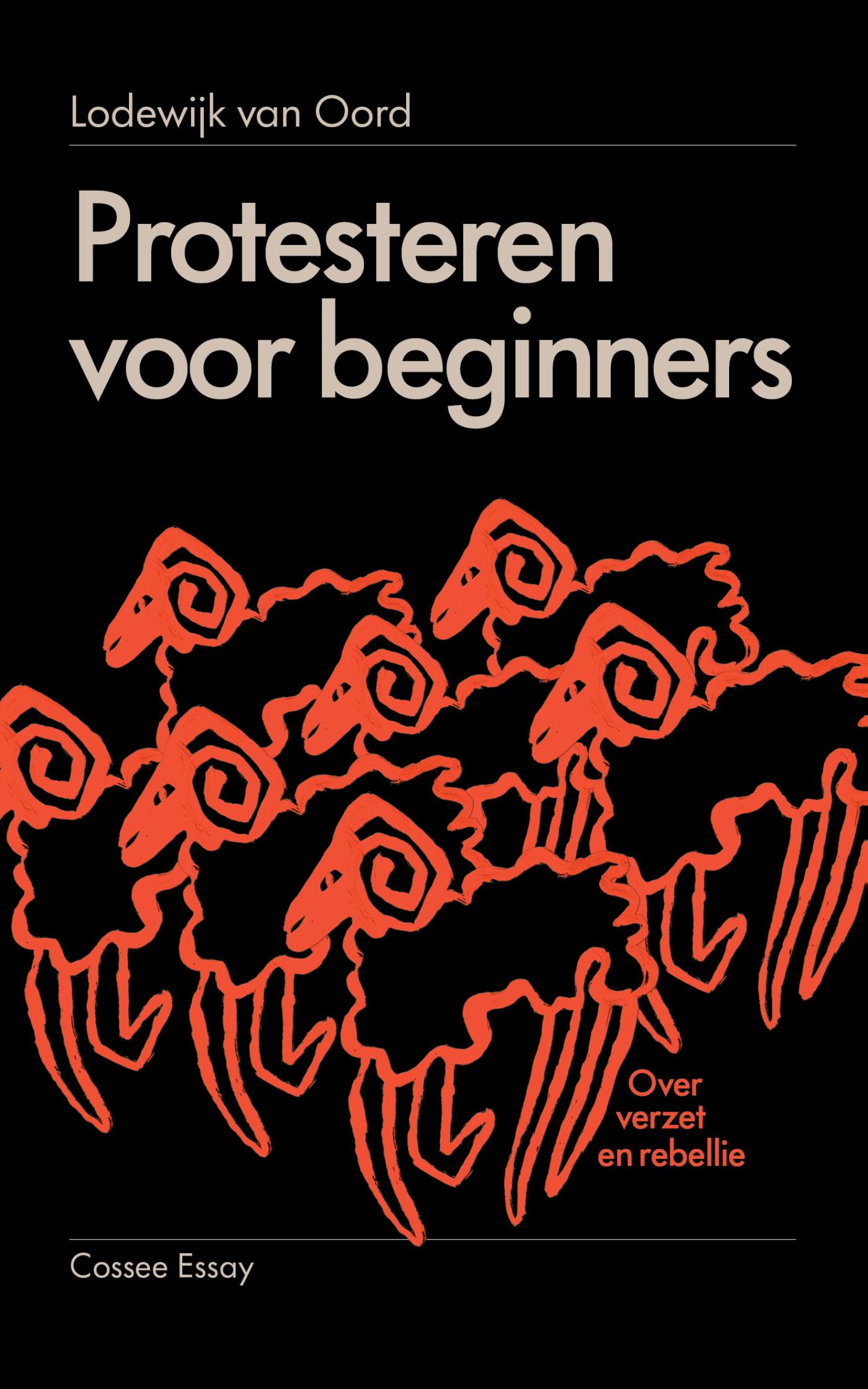Omslag van Protesteren voor beginners