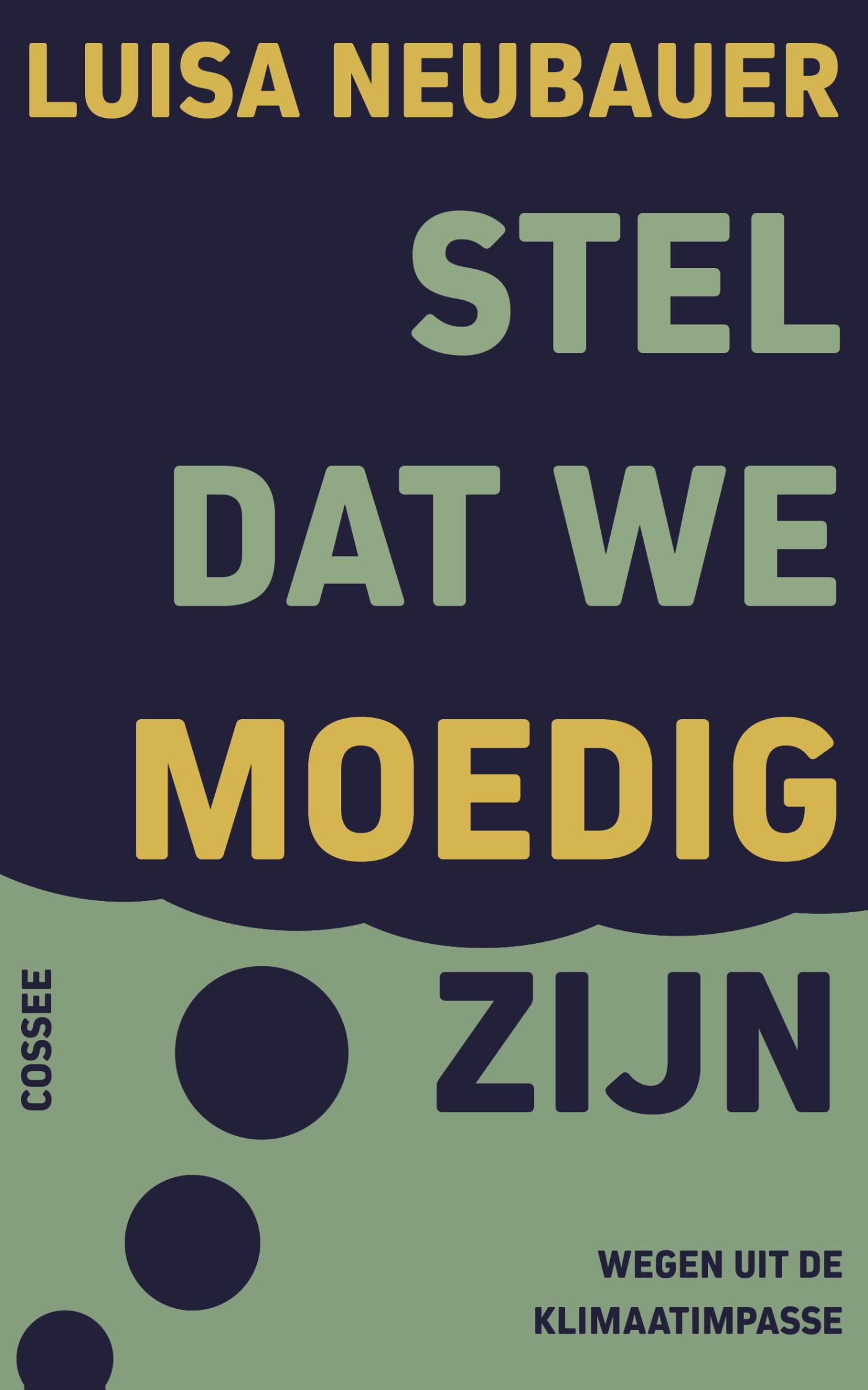 Omslag van Stel dat we moedig zijn