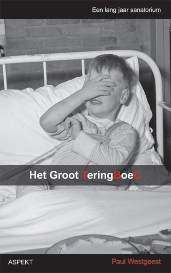 Omslag van Het groot Teringboec