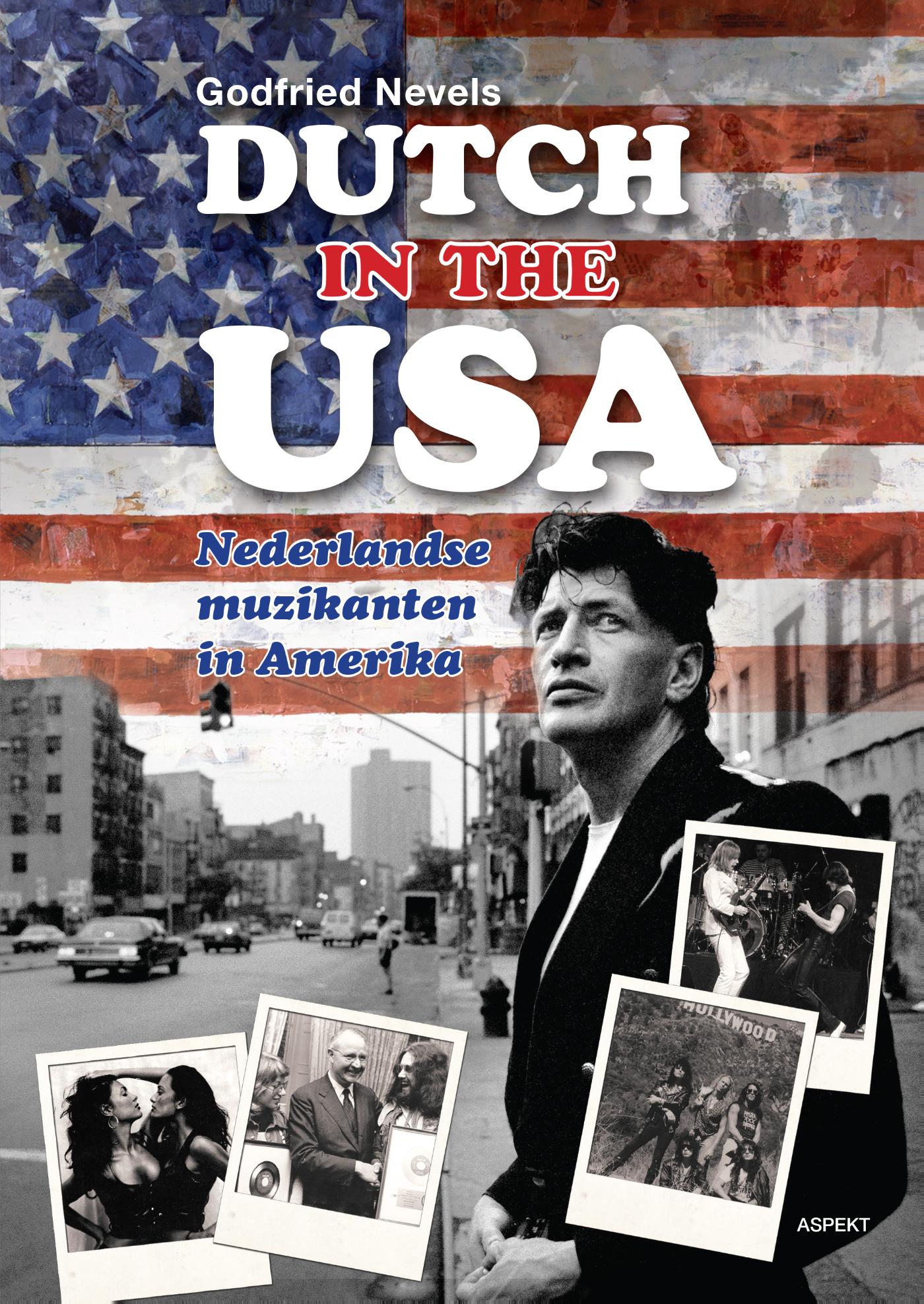 Omslag van Dutch in the USA