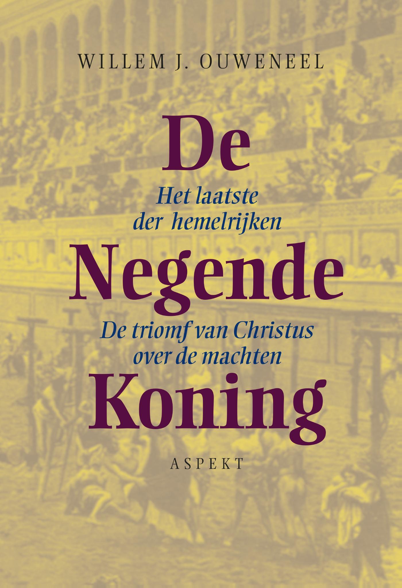 Omslag van De negende koning
