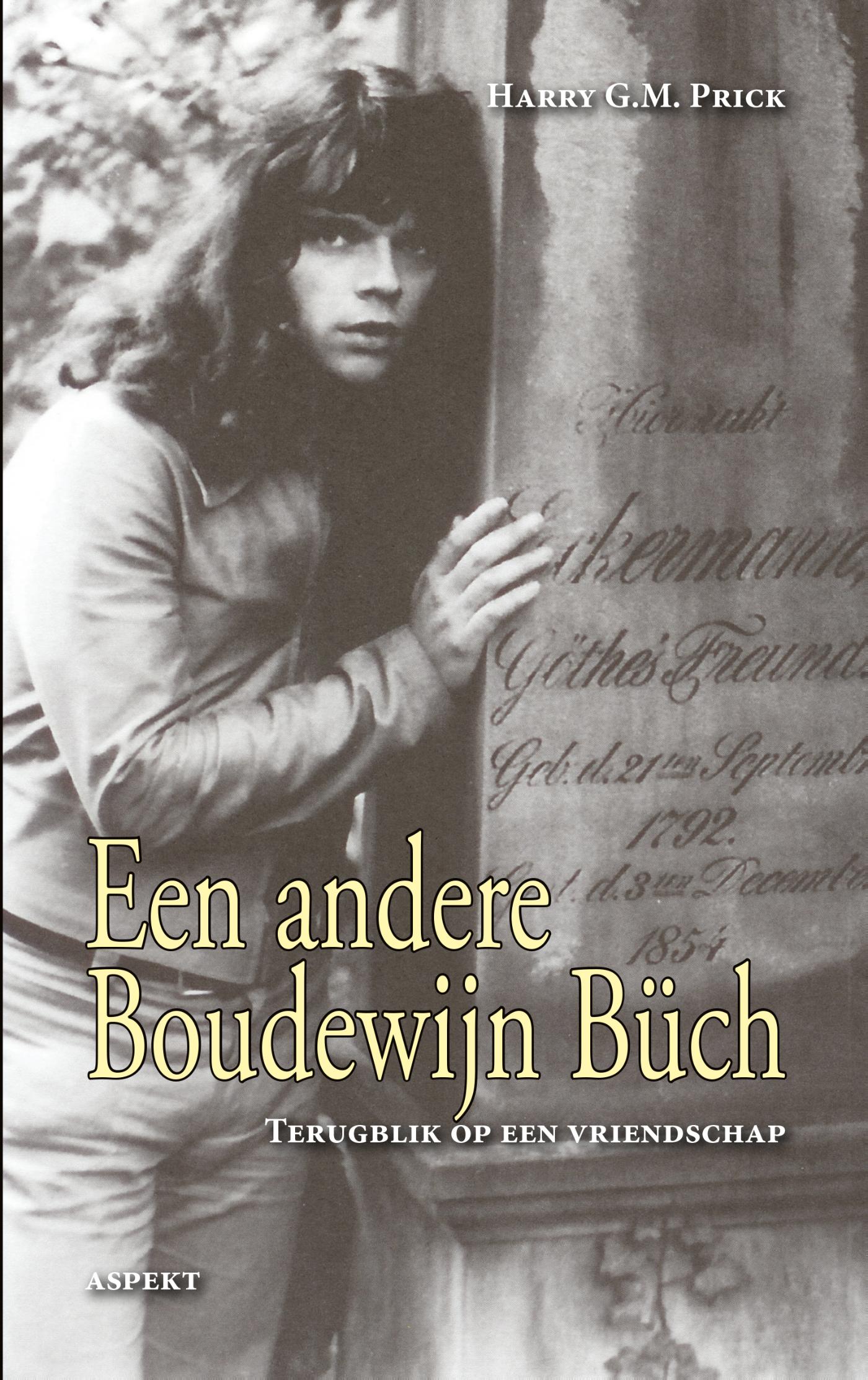 Omslag van Een andere Boudewijn Buch