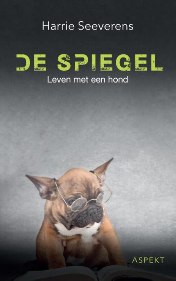 Omslag van De Spiegel