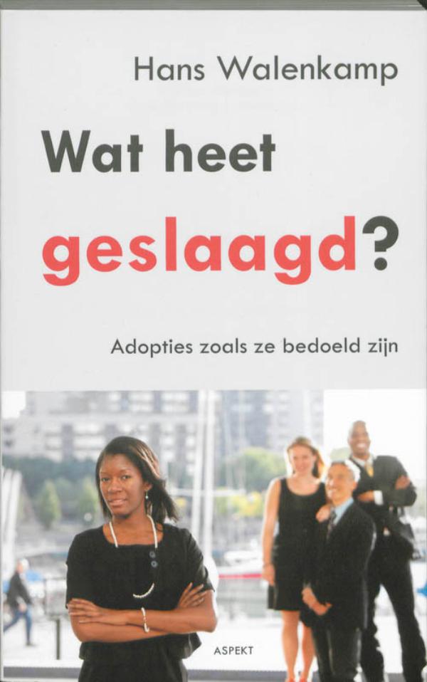 Omslag van Wat heet geslaagd