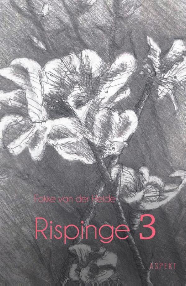 Omslag van Rispinge | 3