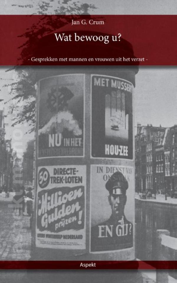 Omslag van Wat bewoog u?