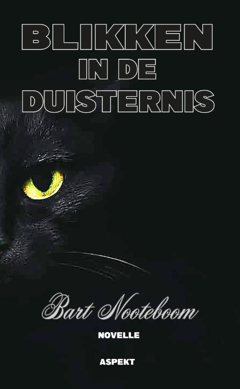 Omslag van Blikken in de duisternis