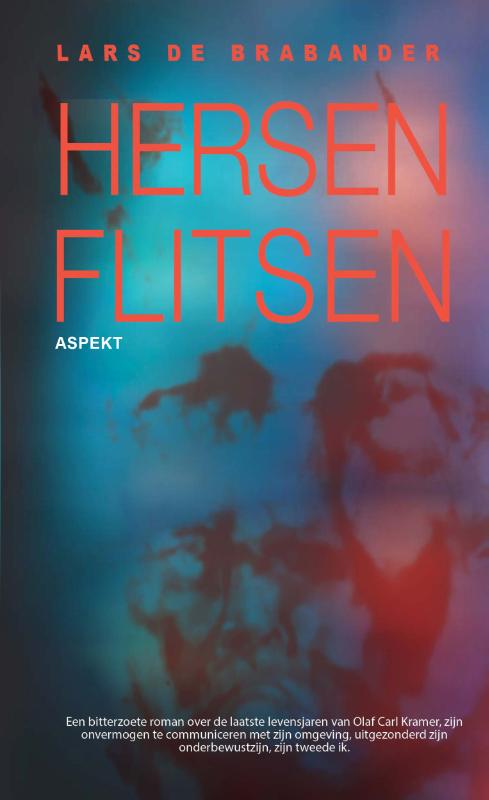 Omslag van Hersenflitsen