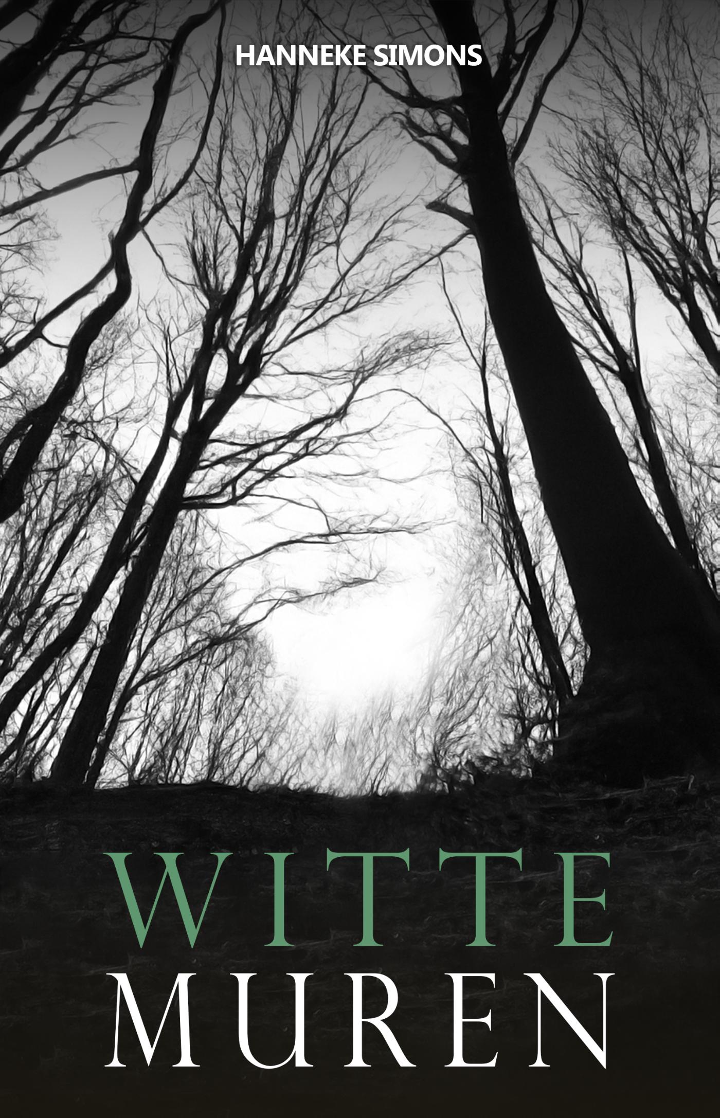 Omslag van Witte muren