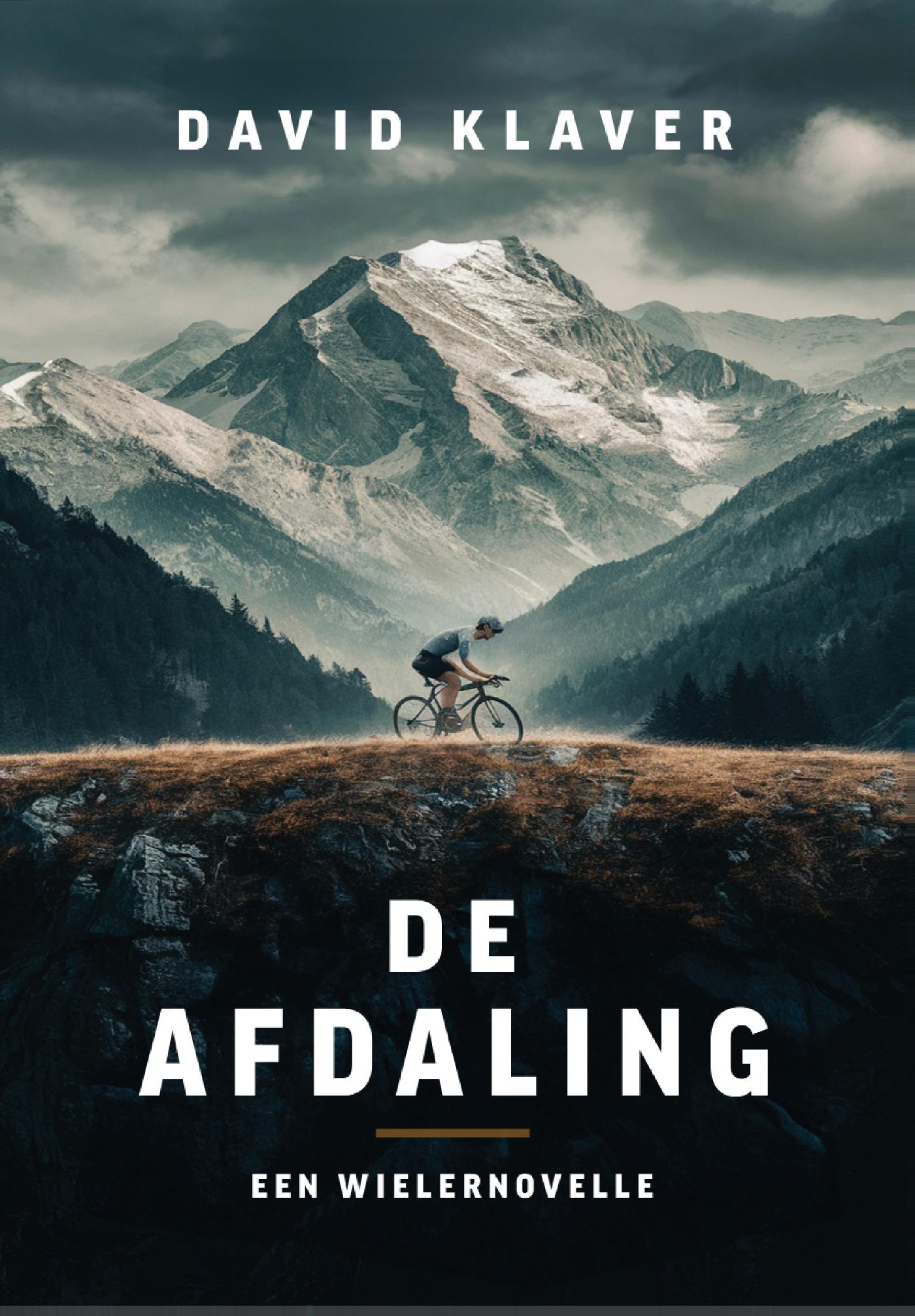 Omslag van De afdaling