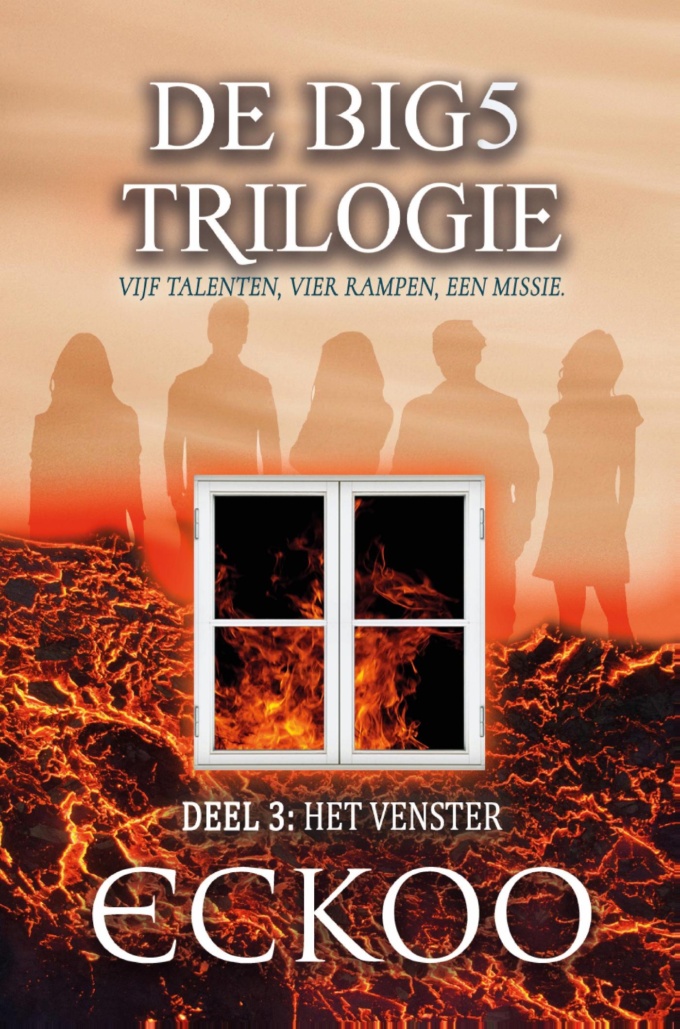 Omslag van Het venster