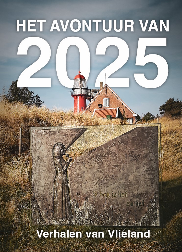Omslag van Het avontuur van 2025
