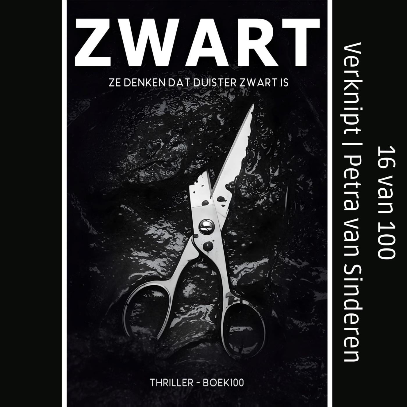 Omslag van Verknipt