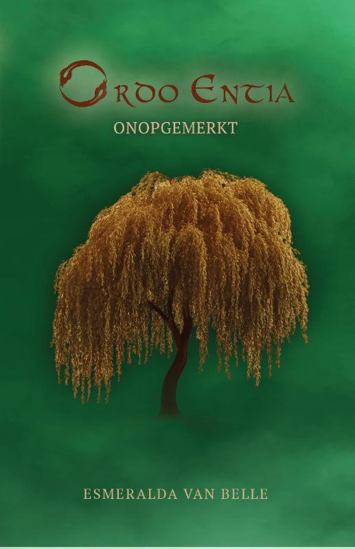 Omslag van Onopgemerkt