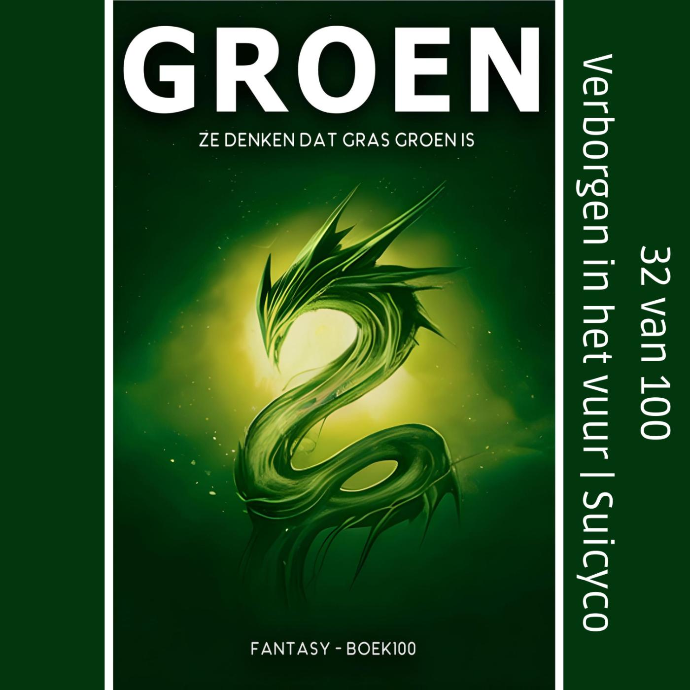 Omslag van Verborgen in het vuur