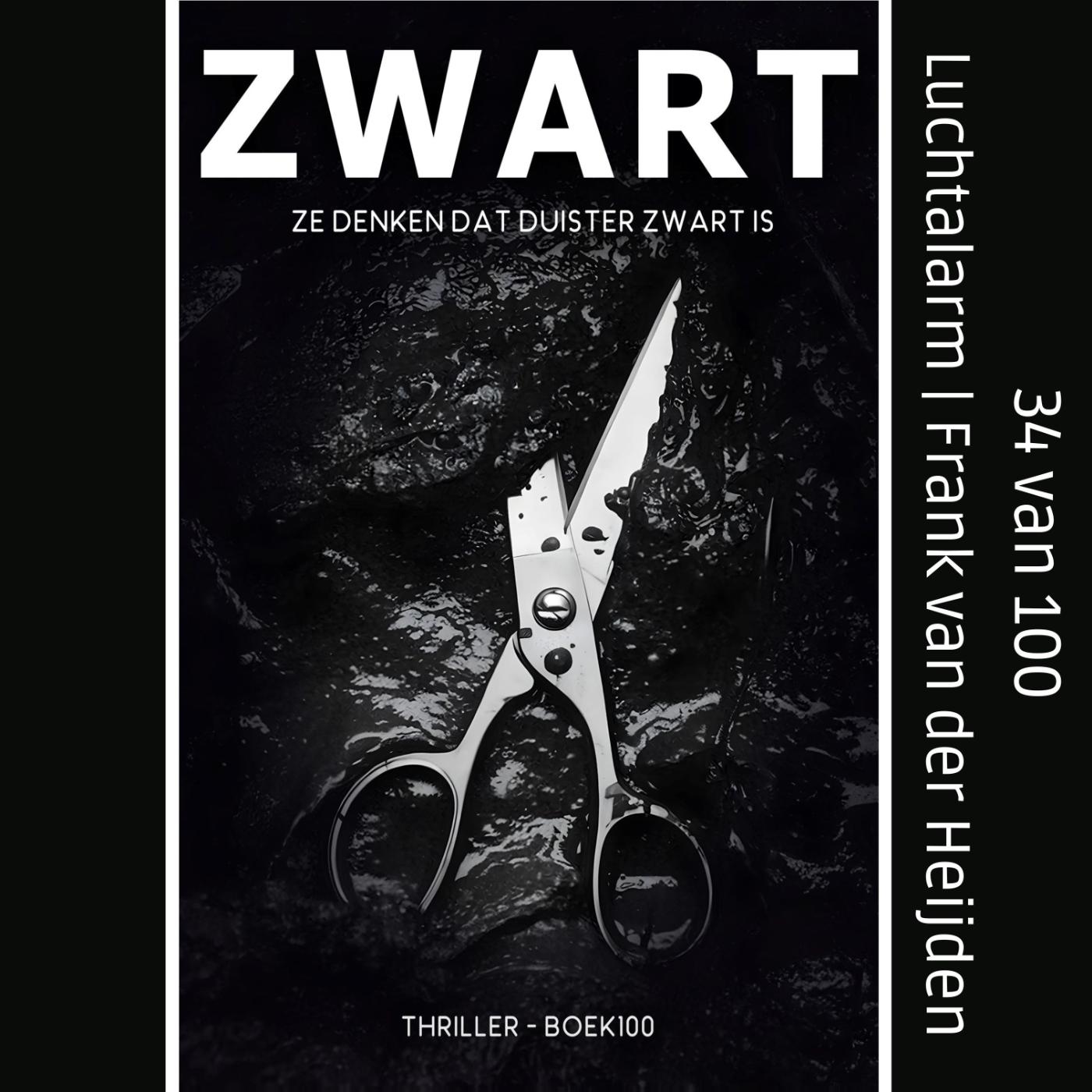 Omslag van Luchtalarm