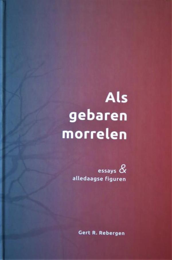 Omslag van Als gebaren morrelen