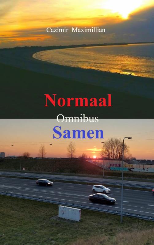 Omslag van Normaal & Samen