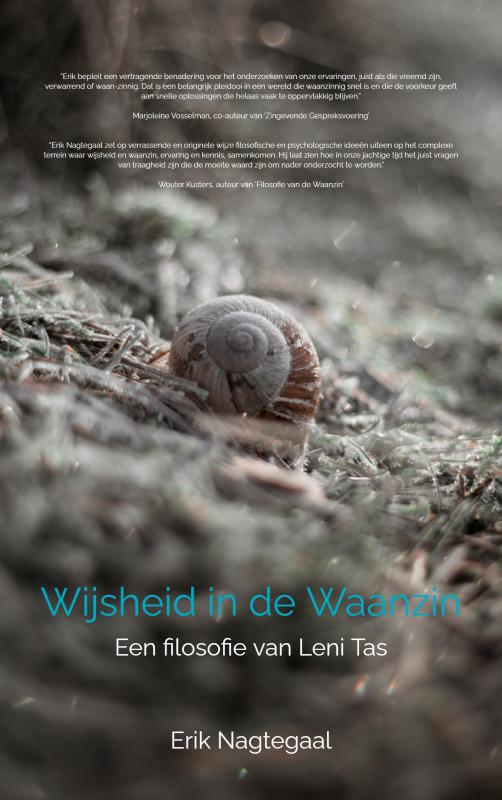 Omslag van Wijsheid in de Waanzin