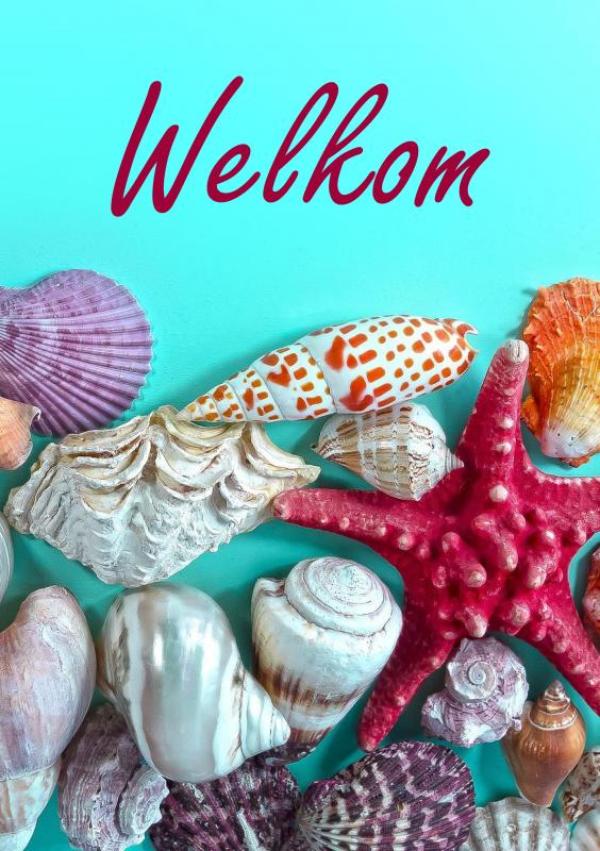Omslag van Gastenboek Bed en Breakfast / Vakantiehuis / Hotel / Vakantiewoning (A5, paperback)