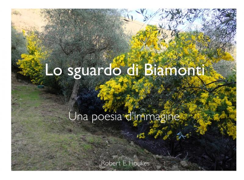 Omslag van Lo sguardo di Biamonti