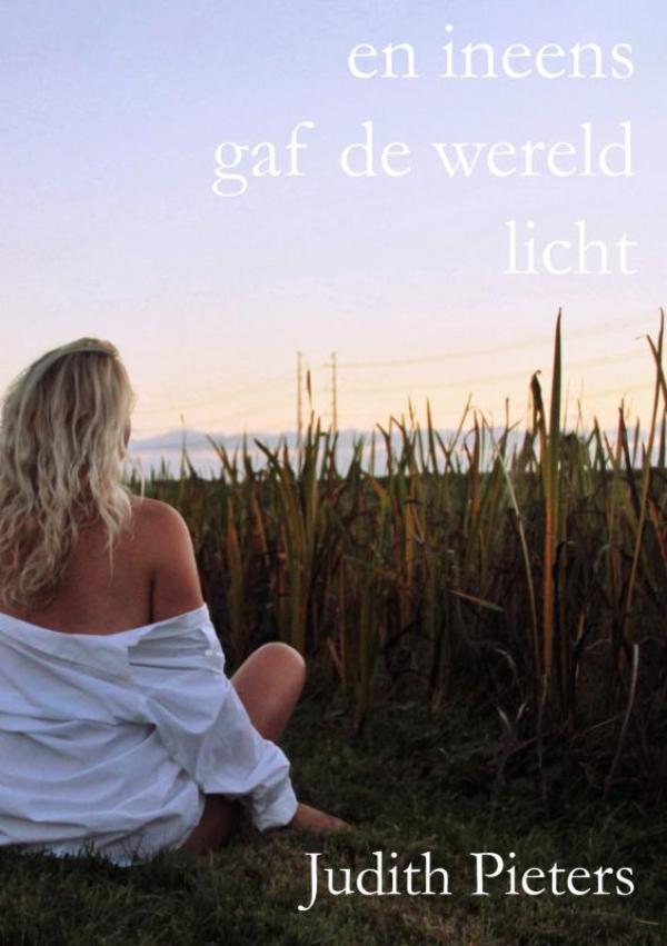 Omslag van en ineens gaf de wereld licht