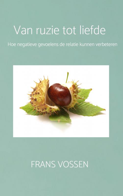 Omslag van Van ruzie tot liefde