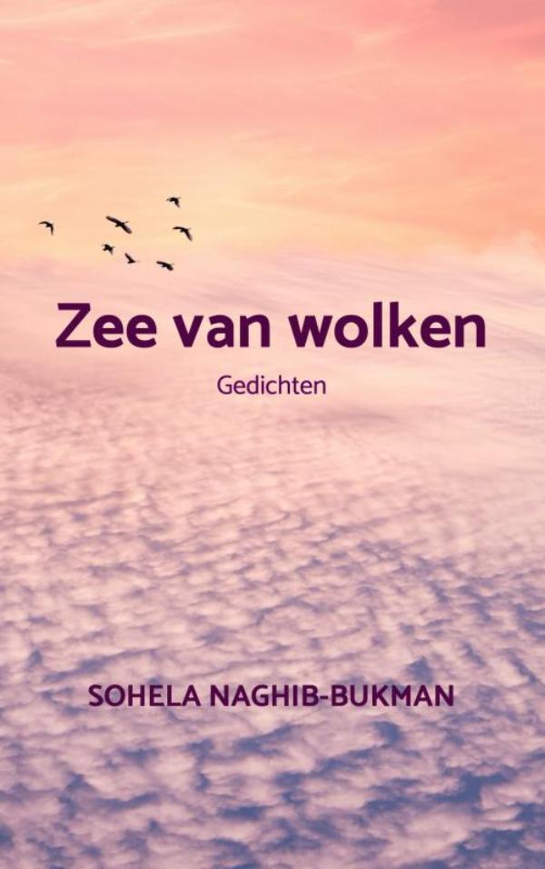 Omslag van Zee van wolken