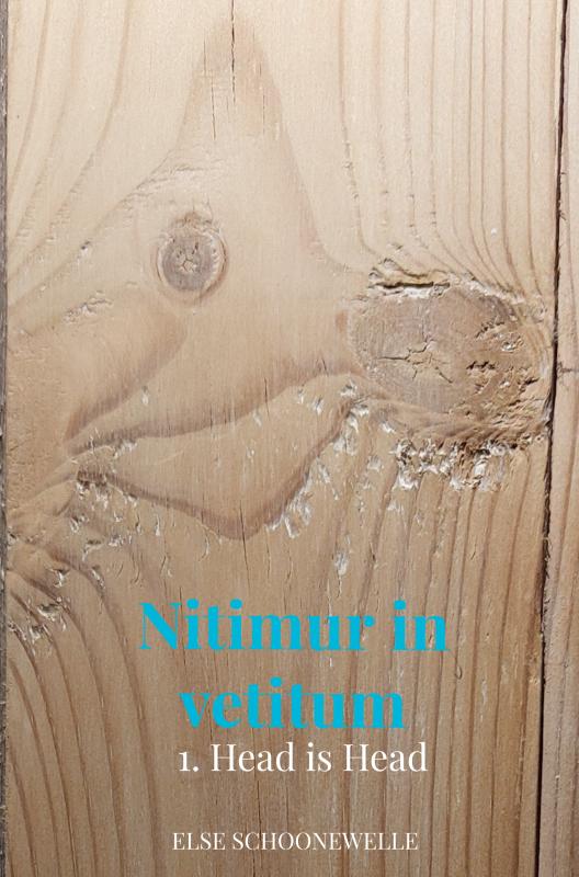 Omslag van Nitimur in vetitum