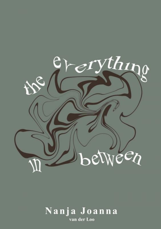 Omslag van the everything in between.