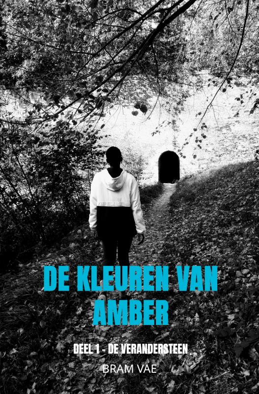 Omslag van De kleuren van Amber