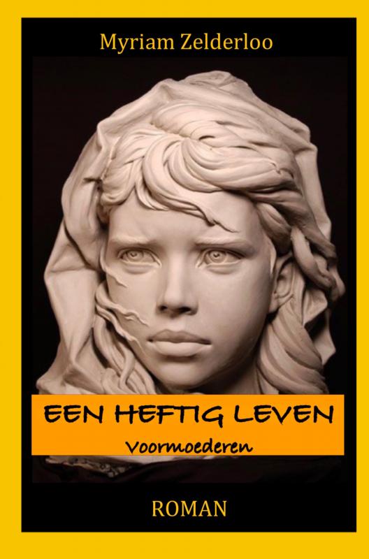 Omslag van Een heftig leven